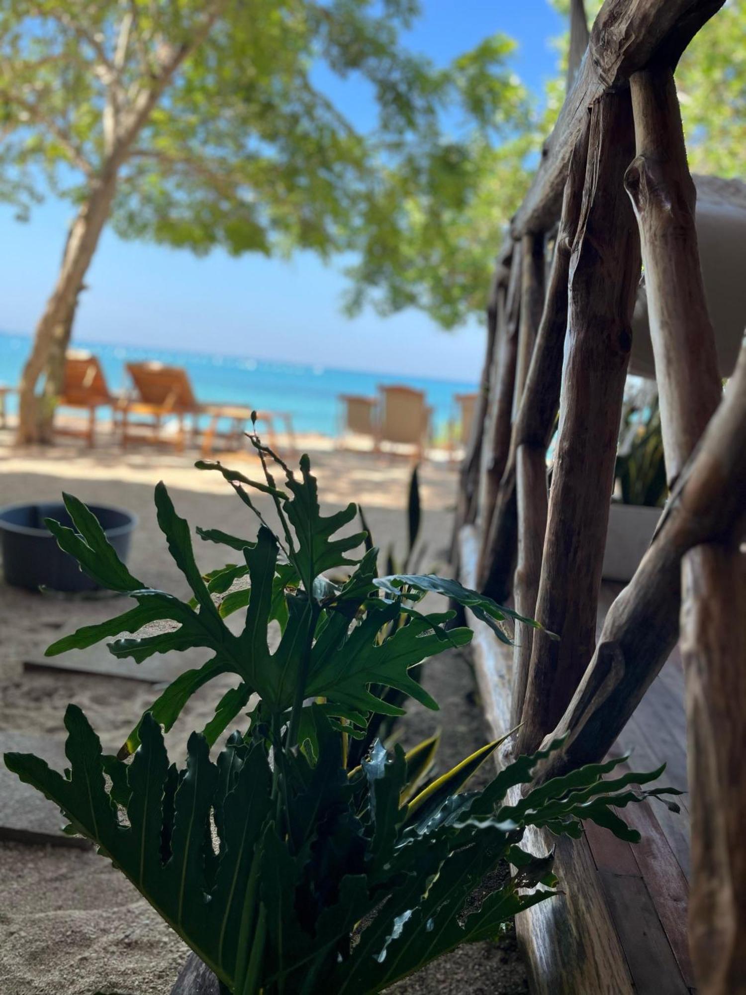 Thani Ecobeach Baru Playa Blanca Extérieur photo